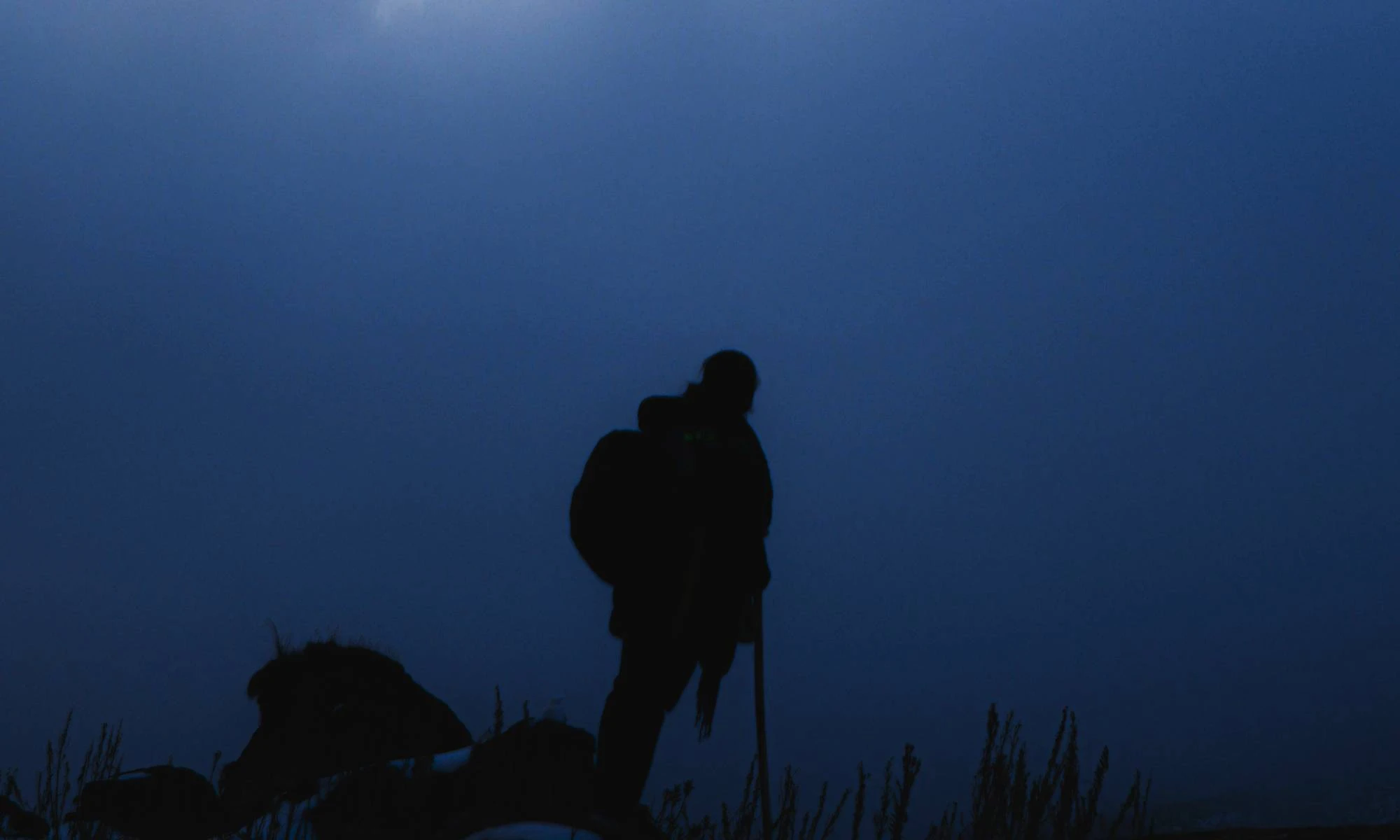 Frequently Asked Questions About the Manaslu Expedition